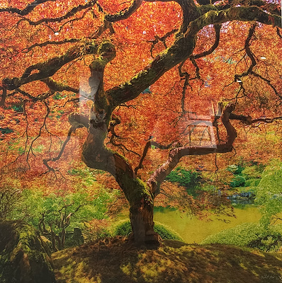 Robert Park imzalı tablo — 102×102 cm, 90.000 TL müzayede satışı