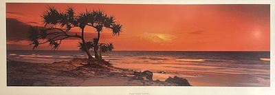 Peter Lik imzalı tablo — 41×106 cm, 60.000 TL müzayede satışı