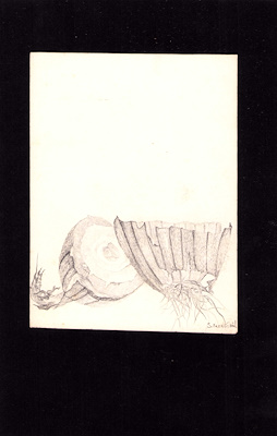 Sabiha Erengönül imzalı tablo — 12×9 cm, 525 TL müzayede satışı