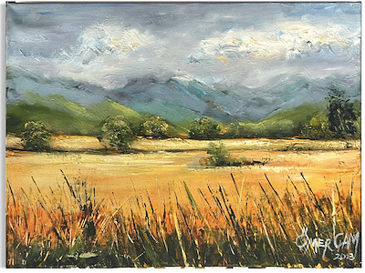 Ömer Çam imzalı tablo — Yağlı Boya, 30×40 cm, 3.000 TL müzayede satışı