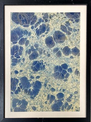 Timuçin Tanarslan imzalı tablo — 36×47 cm, 1.250 TL müzayede satışı