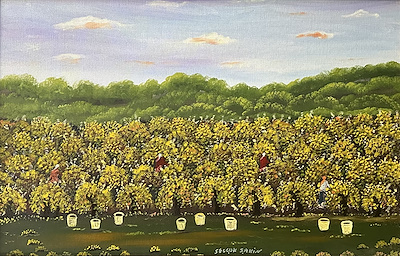 Selçuk Şahin imzalı tablo — Yağlı Boya, 45×70 cm, 11.000 TL müzayede satışı