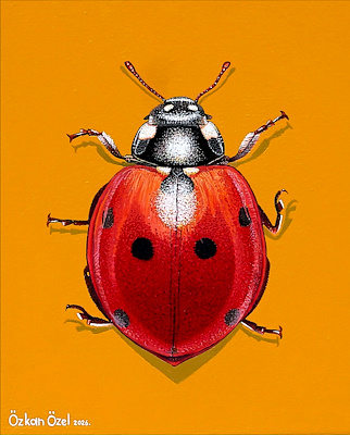 Özkan Özel imzalı tablo — Akrilik Boya, 20×25 cm, 2.500 TL müzayede satışı