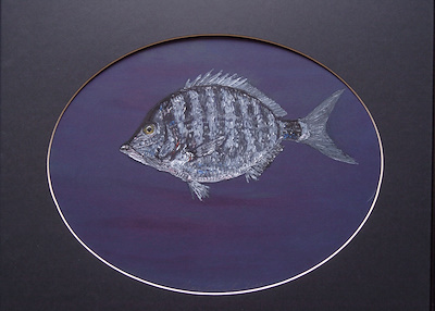 Haşim Nur Gürel imzalı tablo — Karışık Teknik, 25×35 cm, 8.500 TL müzayede satışı