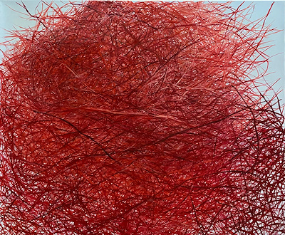 Ayşenur Çelebi imzalı tablo — Yağlı Boya, 100×120 cm, 37.500 TL müzayede satışı