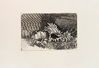 Aloş imzalı tablo — Gravür, 53×78 cm, 7.500 TL müzayede satışı