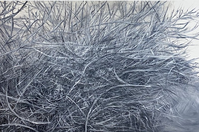 Ayşenur Çelebi imzalı tablo — Akrilik Boya, 66×100 cm, 9.500 TL müzayede satışı
