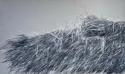 Ayşenur Çelebi imzalı tablo — Yağlı Boya, 42×69 cm, 12.000 TL müzayede satışı