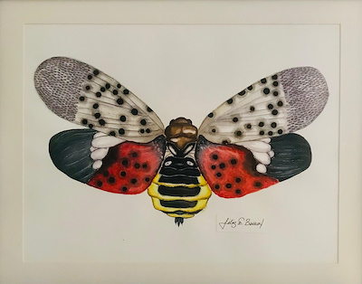 Filiz Ergök Balkan imzalı tablo — 35×50 cm, 8.000 TL müzayede satışı