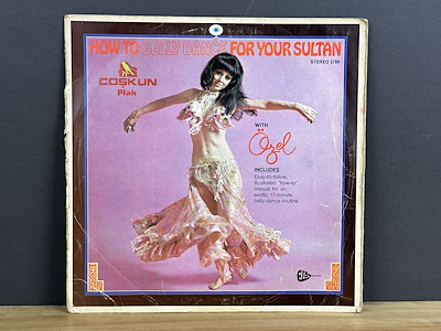 How to Belly Dance for Your Sultan - Özel Türkbaş - LP