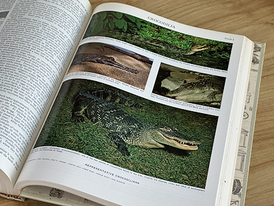 Encyclopædia Britannica 1-23. Ciltler ve Index - Encyclopædia