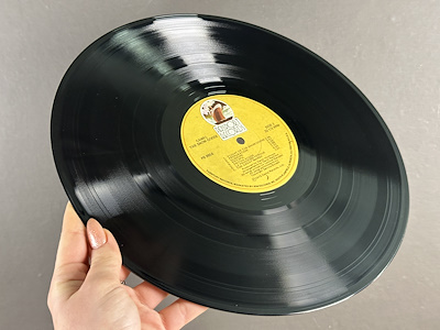 Camel - The Snow Goose - 1975 ABD - LP-Dunundunyasi.com