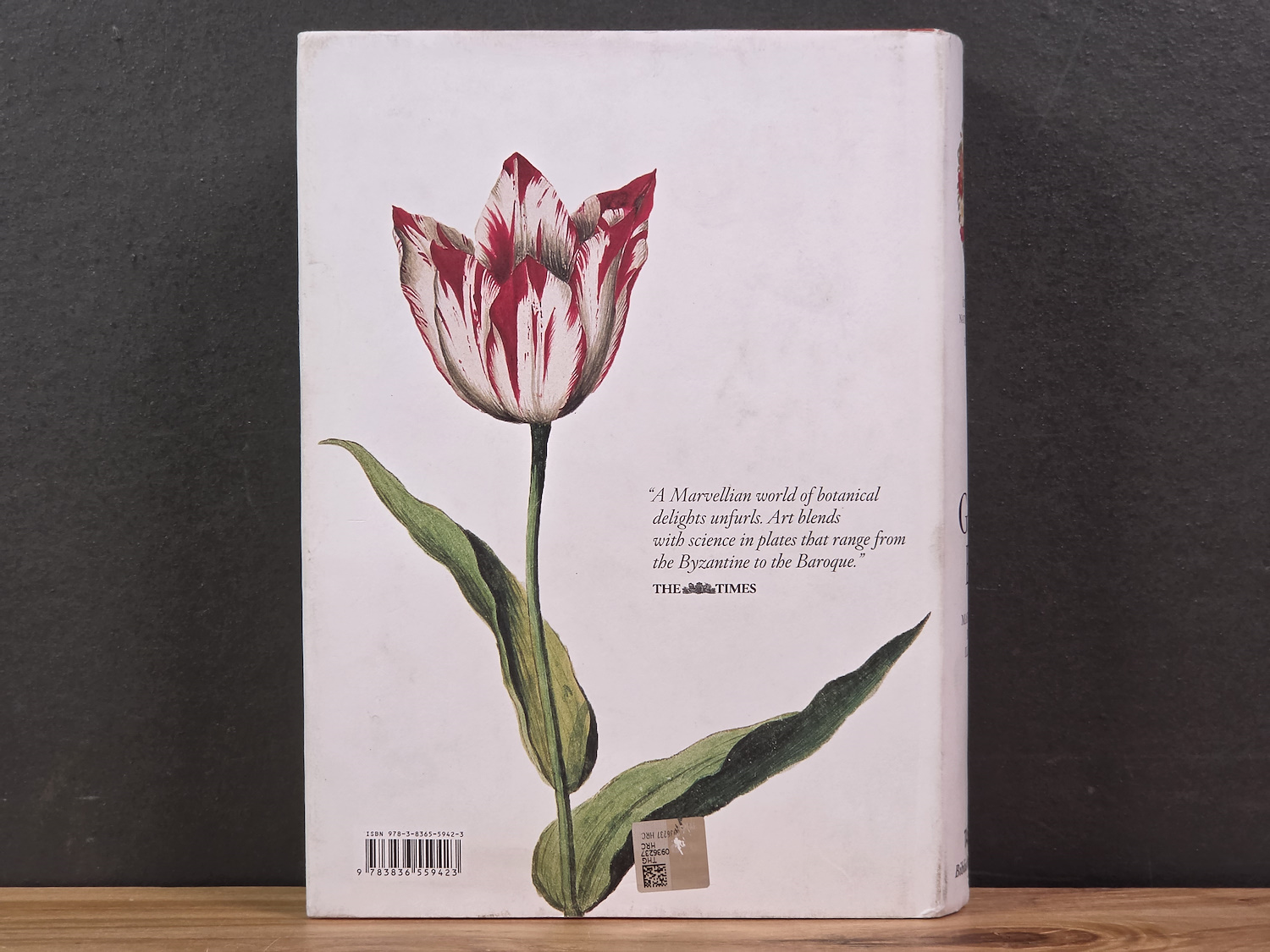 A Garden Eden: Masterpieces of Botanical Illustration - H. Walter