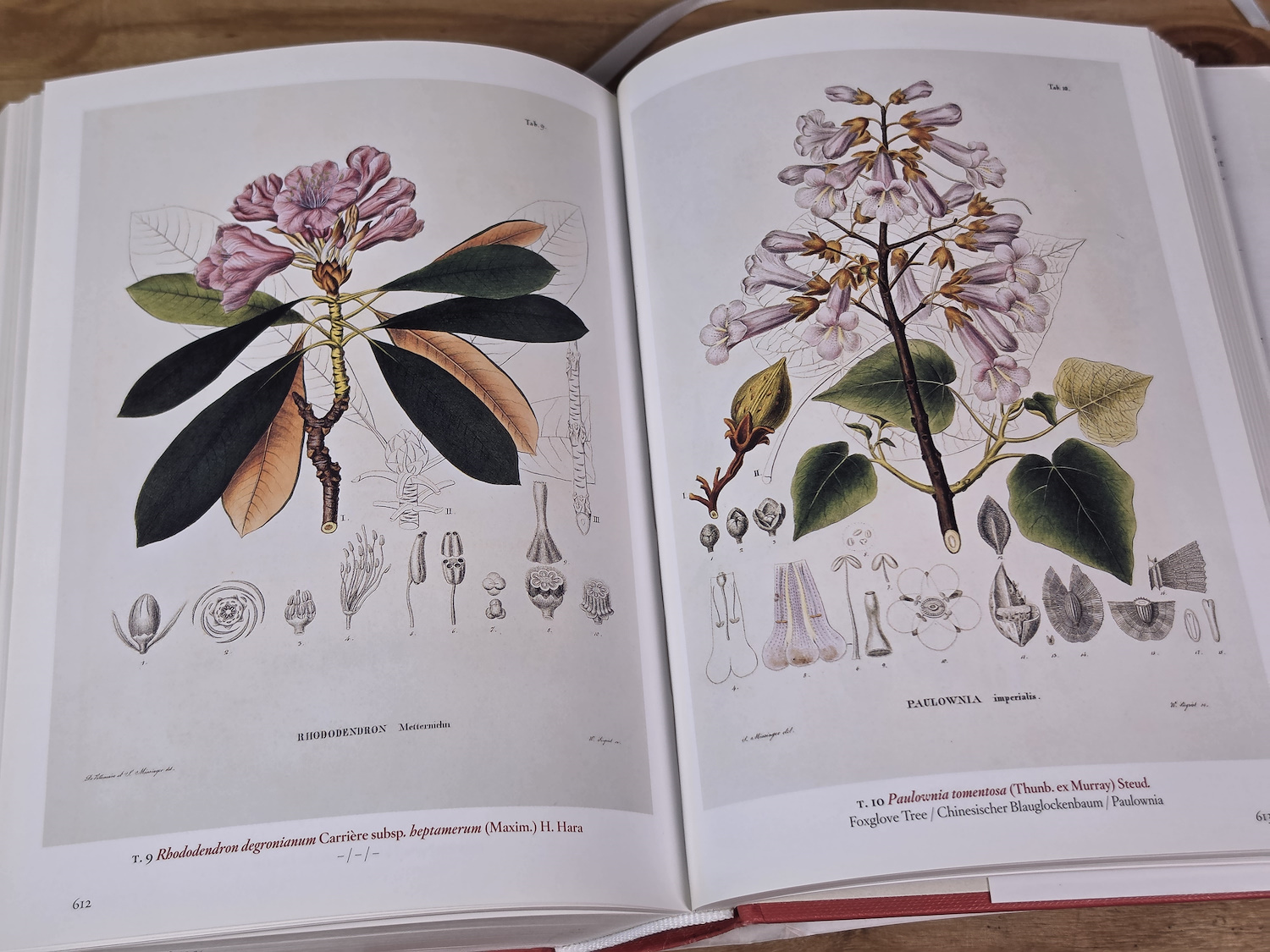 A Garden Eden: Masterpieces of Botanical Illustration - H. Walter