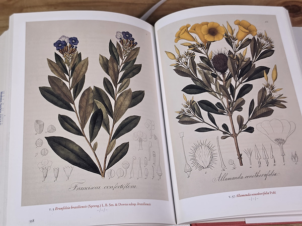A Garden Eden: Masterpieces of Botanical Illustration - H. Walter