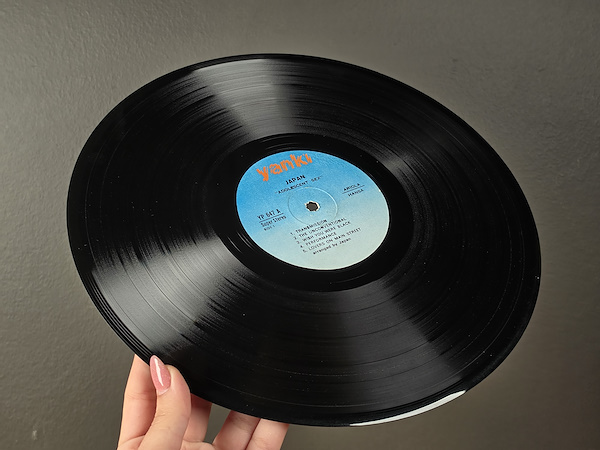 Japan - Adolescent Sex - 1978 Türkiye - LP-Dunundunyasi.com