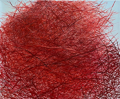 Ayşenur Çelebi imzalı tablo — Yağlı Boya, 100×120 cm, 20.000 TL müzayede satışı