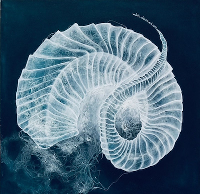 Ekin Deveci imzalı tablo — Karışık Teknik, 50×50 cm, 3.500 TL müzayede satışı