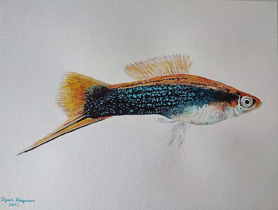 Uğur Kaynar imzalı tablo — Sulu Boya, 32×24 cm, 3.000 TL müzayede satışı