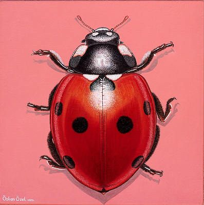 Özkan Özel imzalı tablo — Akrilik Boya, 35×35 cm, 2.750 TL müzayede satışı