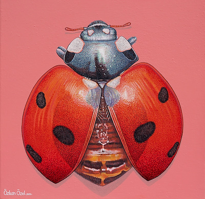 Özkan Özel imzalı tablo — Akrilik Boya, 35×35 cm, 3.500 TL müzayede satışı